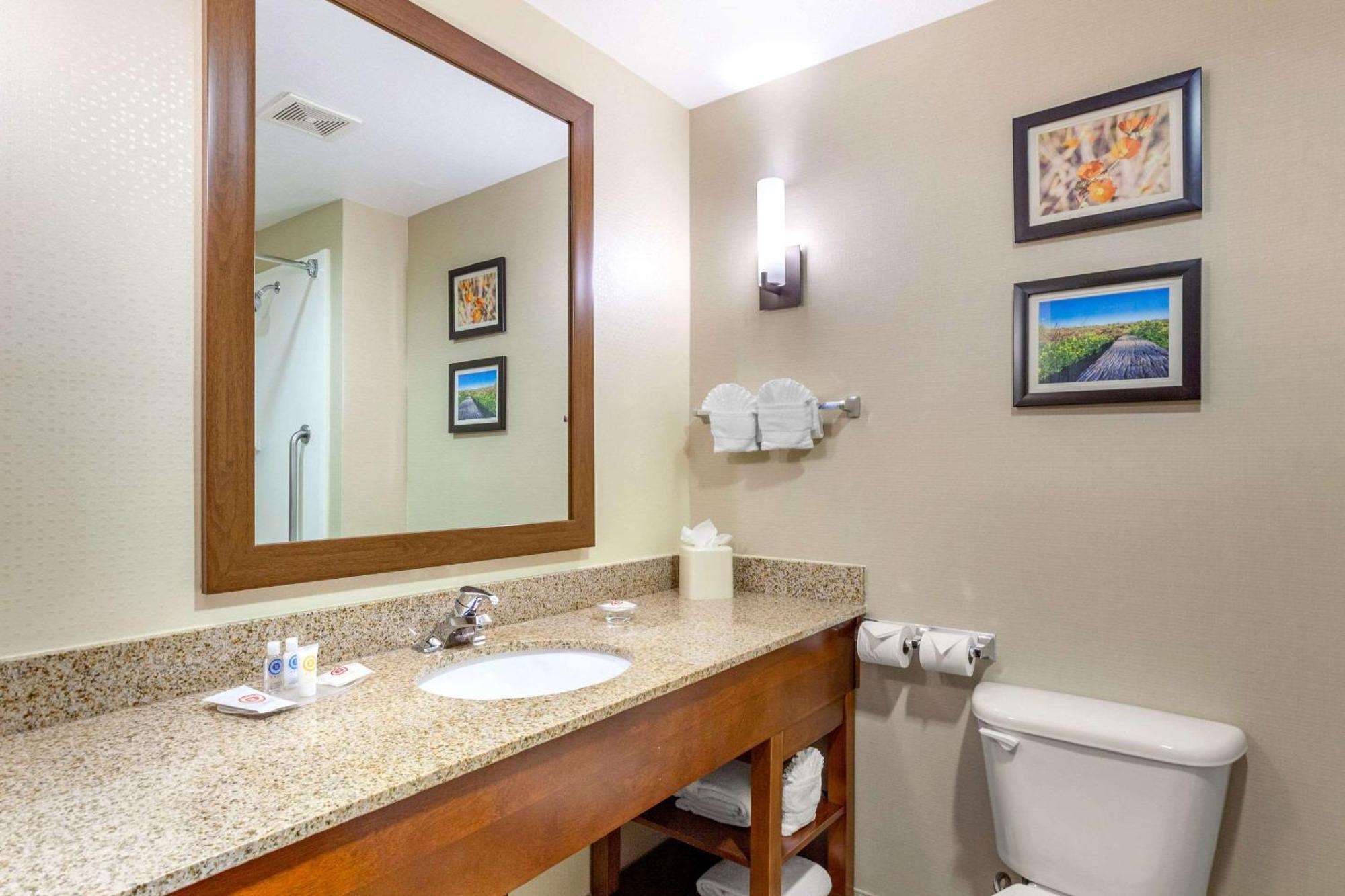 Comfort Suites Glendale - State Farm Stadium Area מראה חיצוני תמונה